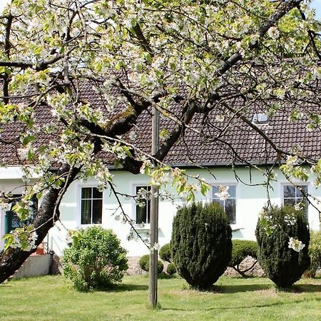 Pension Gestuet Lindenhof Templin Ngoại thất bức ảnh